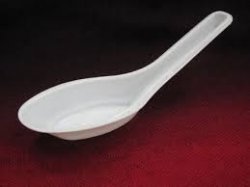 Disposable Shanghai Spoon