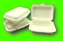 Biodegradable Lunch Box